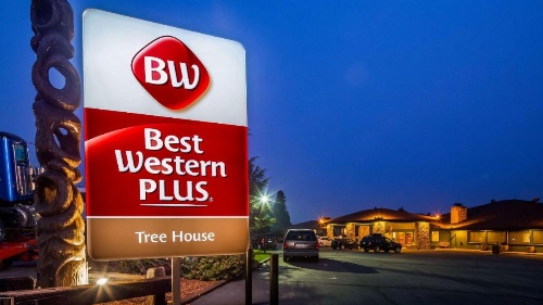 Best Western Plus Tree House image 9